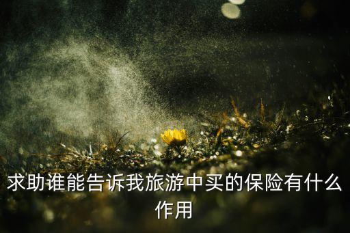 求助谁能告诉我旅游中买的保险有什么作用