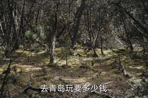 去青岛玩要多少钱