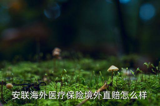 安联境外旅游医疗保险，安联海外医疗保险境外直赔怎么样