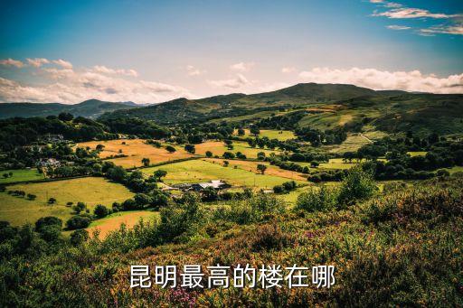 昆明最高的楼在哪