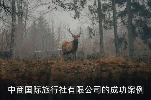中商国际旅行社有限公司的成功案例