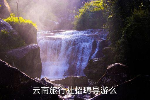 云南旅行社招聘导游么