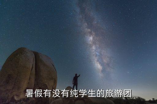 暑假有没有纯学生的旅游团