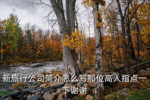 新旅行公司简介怎么写那位高人指点一下谢谢