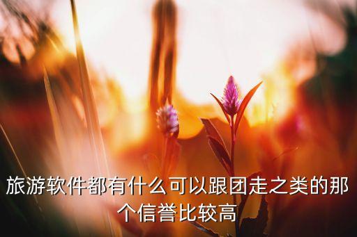 跟团旅游哪个网站好一点，旅游软件都有什么可以跟团走之类的那个信誉比较高