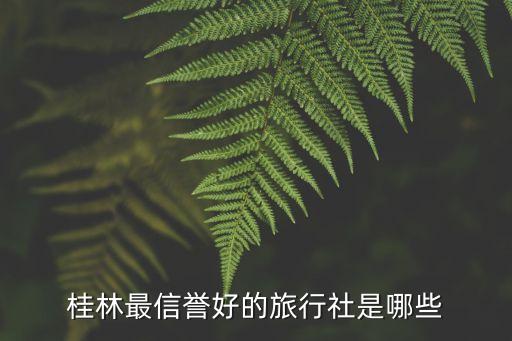 桂林最信誉好的旅行社是哪些