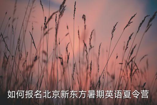 北京新东方暑期集训营2021，如何报名北京新东方暑期英语夏令营