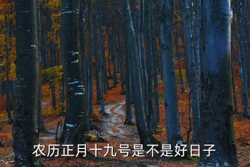 农历正月19日是什么日子好不好，农历正月十九第一天上班日子好吗