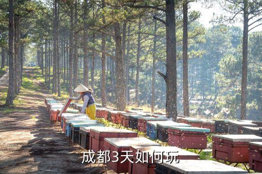 成都3天如何玩