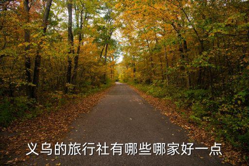 义乌的旅行社有哪些哪家好一点