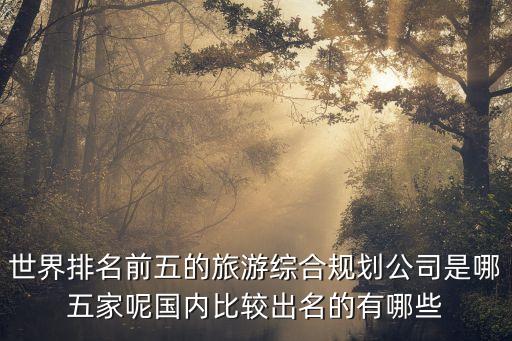 旅游业排行榜前十名企业，世界排名前五的旅游综合规划公司是哪五家呢国内比较出名的有哪些