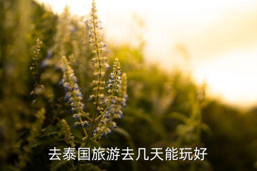 泰国旅游几天合适，泰国自由行的话玩几天比较合适
