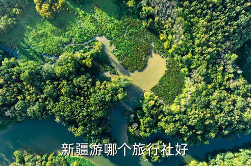 新疆游哪个旅行社好