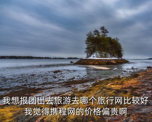 网上旅行社哪个比较好一点，我想报团出去旅游去哪个旅行网比较好我觉得携程网的价格偏贵啊