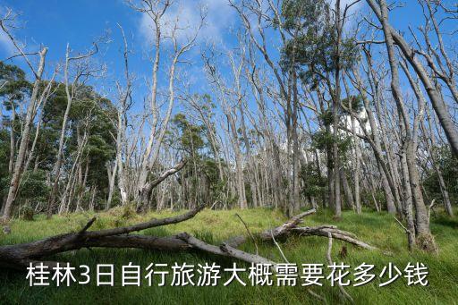桂林3日自行旅游大概需要花多少钱