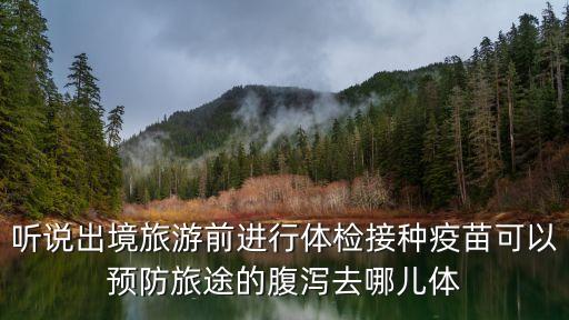 听说出境旅游前进行体检接种疫苗可以预防旅途的腹泻去哪儿体
