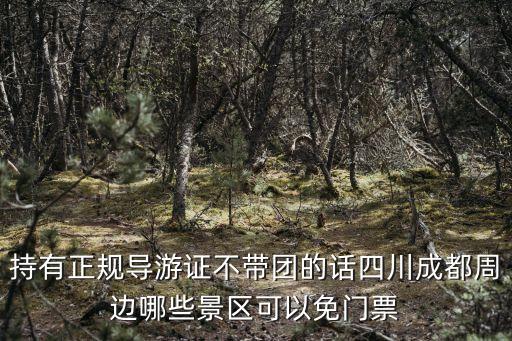 持有正规导游证不带团的话四川成都周边哪些景区可以免门票