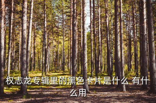 权志龙专辑里的黑色卡片是什么 有什么用