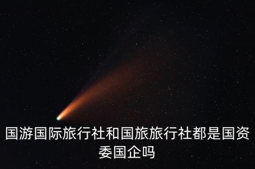 国游国际旅行社和国旅旅行社都是国资委国企吗