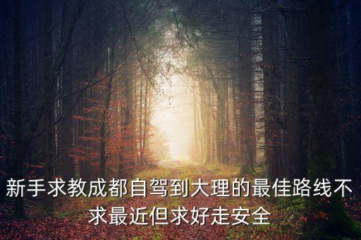 新手求教成都自驾到大理的最佳路线不求最近但求好走安全