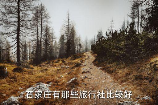 石家庄有那些旅行社比较好