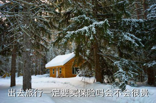 出去旅行一定要买保险吗会不会很贵