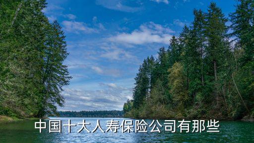 中国十大人寿保险公司有那些