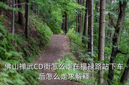 佛山禅武CD街怎么走在福禄路站下车后怎么走求解释