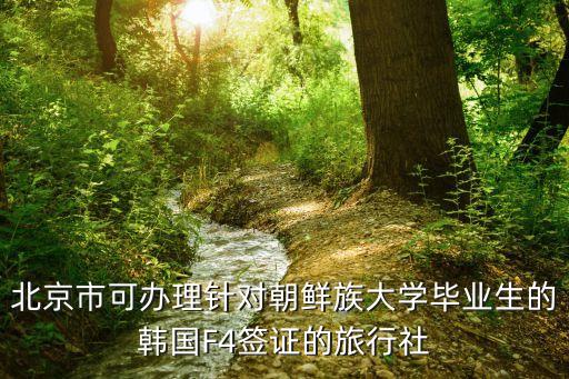 北京市可办理针对朝鲜族大学毕业生的韩国F4签证的旅行社