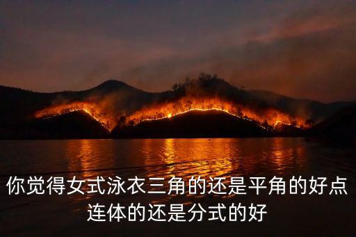 中老年女士泳衣连体平角，你觉得女式泳衣三角的还是平角的好点连体的还是分式的好