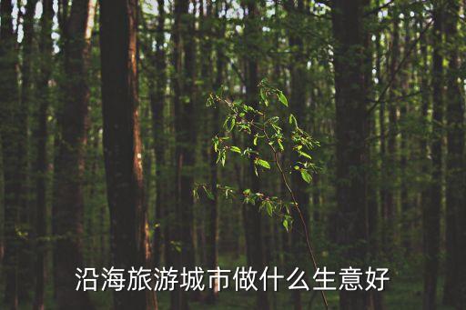 沿海旅游城市做什么生意好