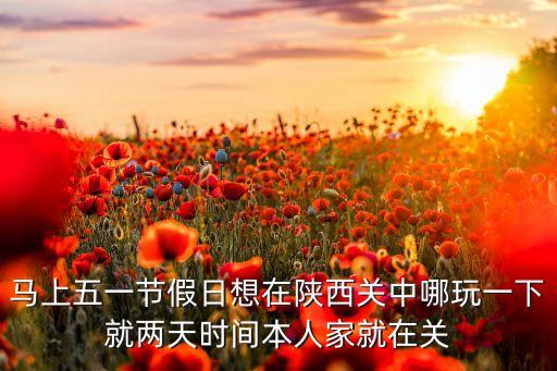 马上五一节假日想在陕西关中哪玩一下就两天时间本人家就在关