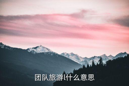 团队旅游L，港澳通行证团队旅游L型的详细解释