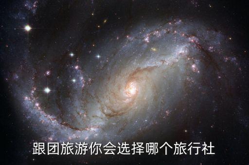 跟团旅游你会选择哪个旅行社