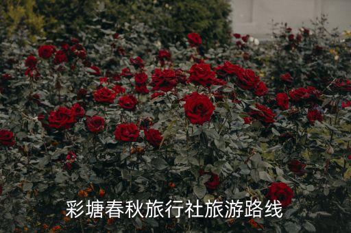 彩塘春秋旅行社旅游路线