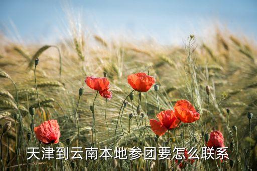天津到云南本地参团要怎么联系