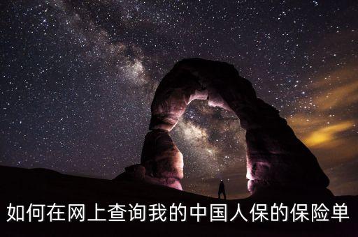 如何在网上查询我的中国人保的保险单