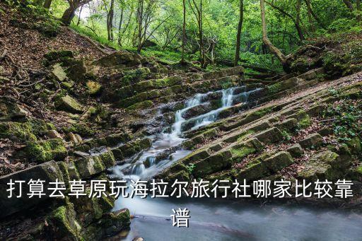 打算去草原玩海拉尔旅行社哪家比较靠谱