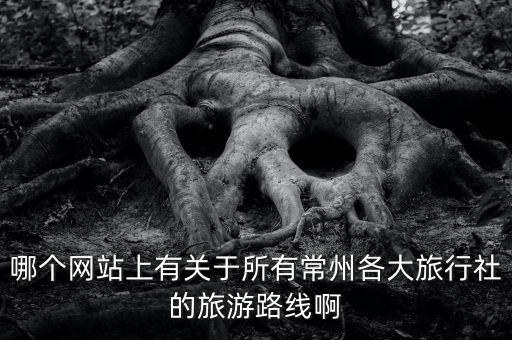 哪个网站上有关于所有常州各大旅行社的旅游路线啊