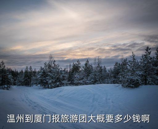 温州到厦门报旅游团大概要多少钱啊