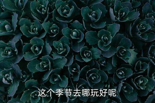这个季节去哪玩好呢