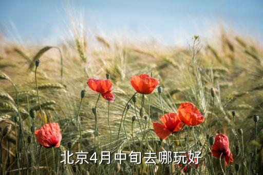 北京4月中旬去哪玩好