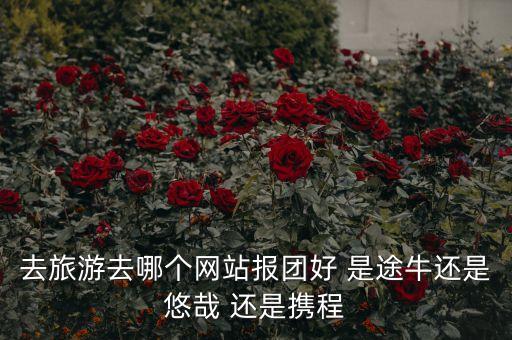 报团旅游哪个软件性价比高，途牛阿里驴妈妈同程旅行网站哪个好价格公道纯玩团