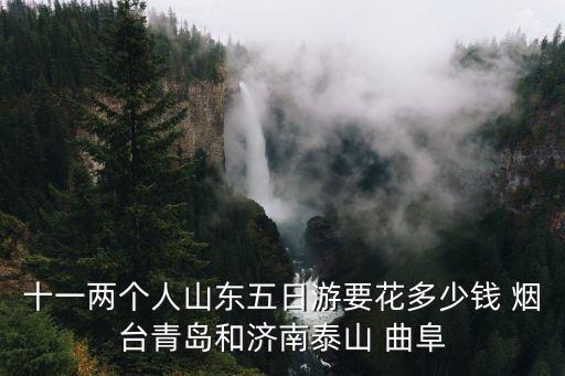 十一两个人山东五日游要花多少钱 烟台青岛和济南泰山 曲阜