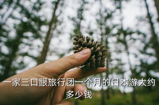 出国旅游团多少钱一个月，现在报个出国的旅游团价格低的大概多少钱