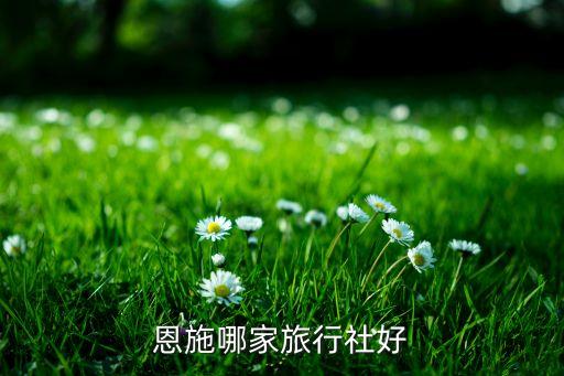 恩施市旅游公司名单及电话，恩施哪家旅行社好