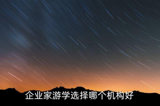企业家游学选择哪个机构好