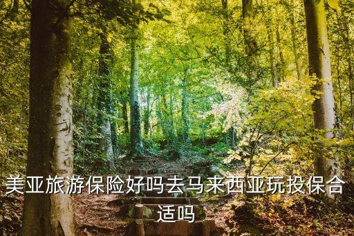 美亚保险公司怎么样知乎，美亚保险怎么样