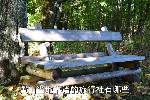 黄山当地靠谱的旅行社有哪些