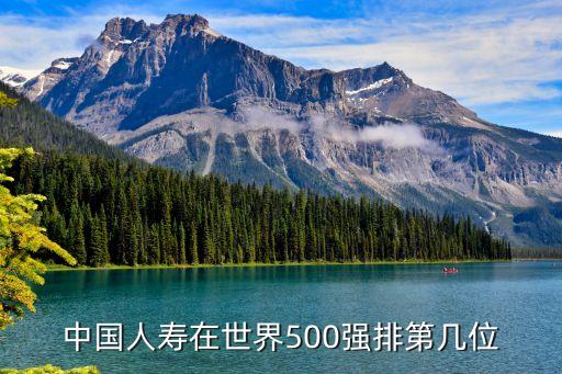 世界500强中国保险公司排名，哪家中国保险公司进入世界500强企业